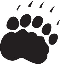 Polar Bear Football Camps
