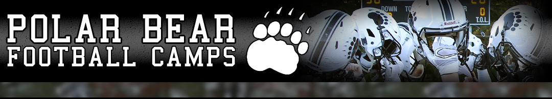 Polar Bear Football