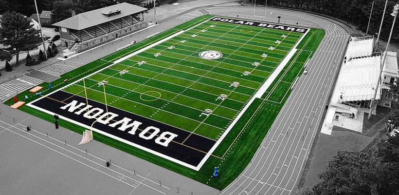 Polar Bear Football