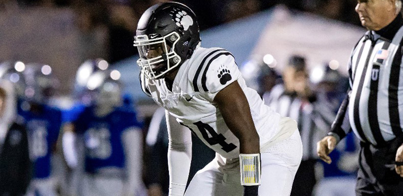 Polar Bear Football