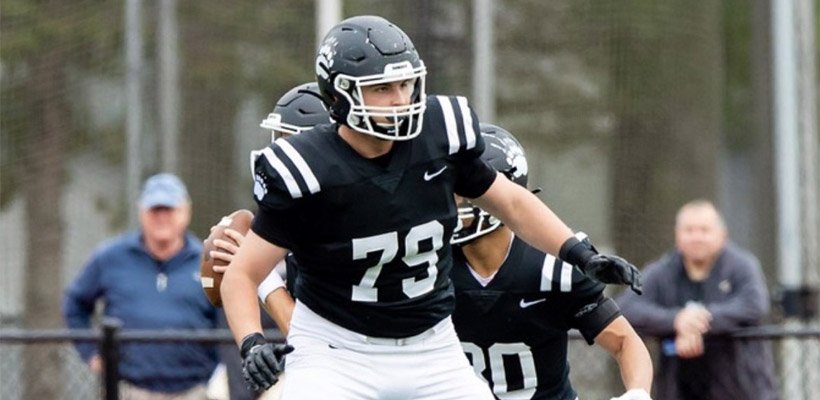 Polar Bear Football